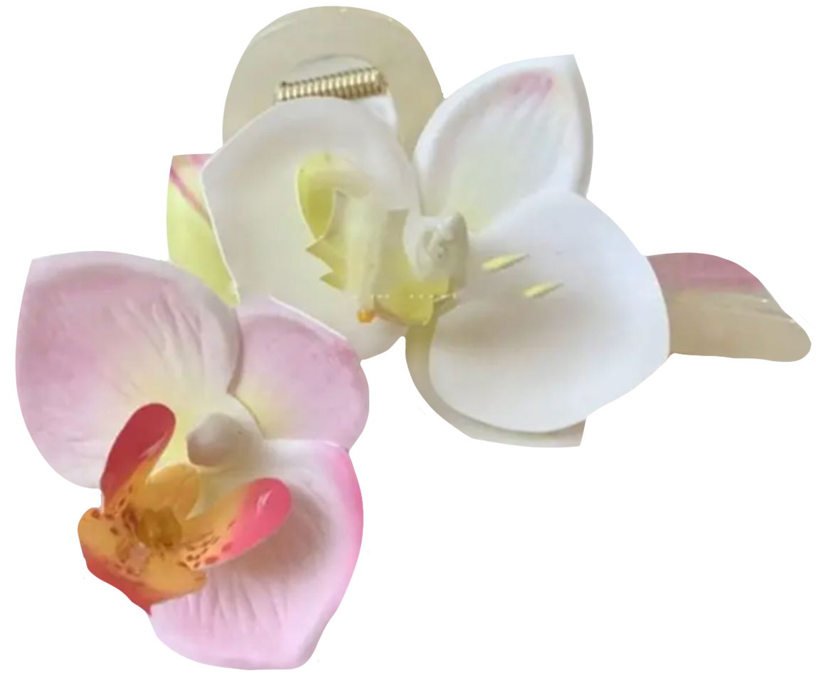 Заколка для пучка