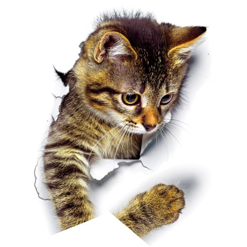 

3D наклейки на стену кошки HonC