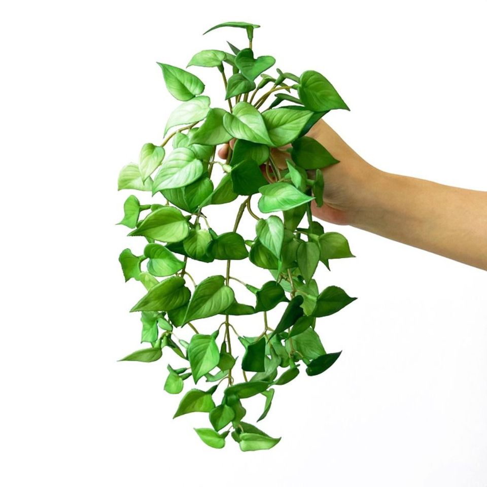 

Искусственные суккуленты из ЭВА