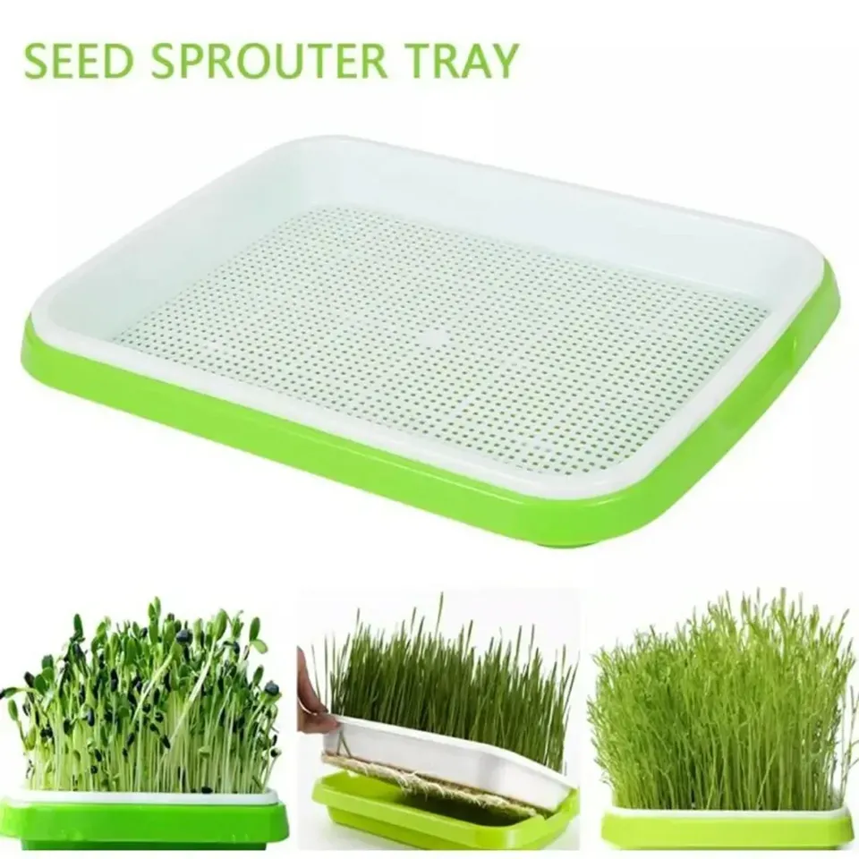 

Гидропонный лоток для микрозелени Green