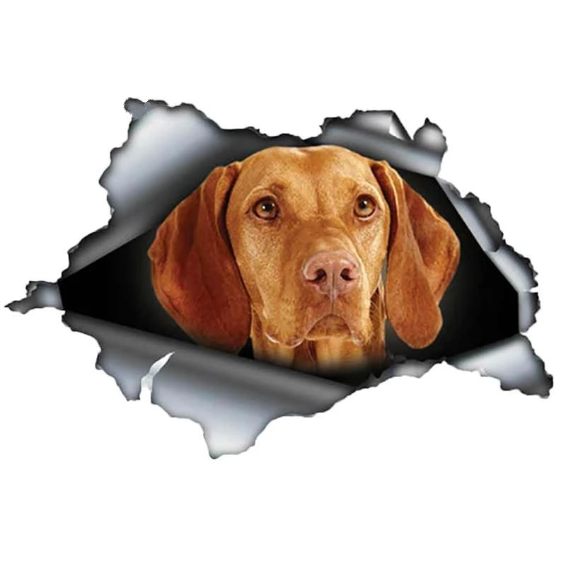 

S50411 # различные размеры/цвета индивидуальная ПВХ Наклейка 3D Собака Vizsla Водонепроницаемая Автомобильная наклейка на мотоцикл ноутбук декоративная