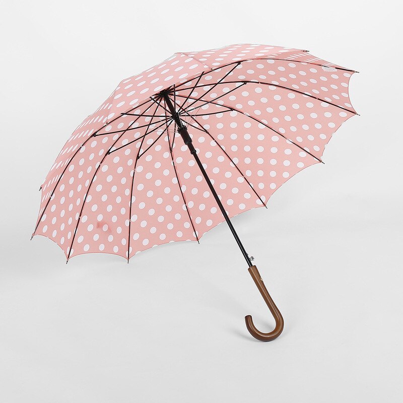 

Женский зонт AhLoyalty polka dot