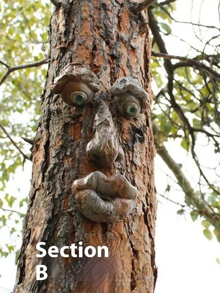 

Садовая скульптура Old Man Tree Hugger