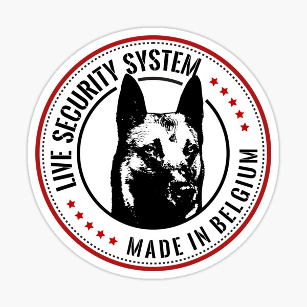 

Y436 # LIVE SECURITY SYSTEM, сделано в Бельгии, виниловые наклейки для автомобиля
