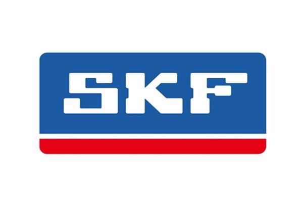 

Подшипники SKF 608ZZ 2RS C3