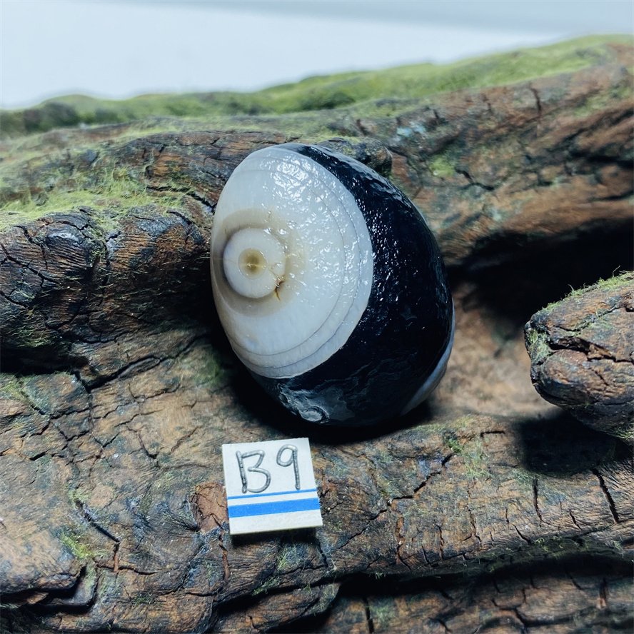 

Камень Гоби Агат Alxa Eye