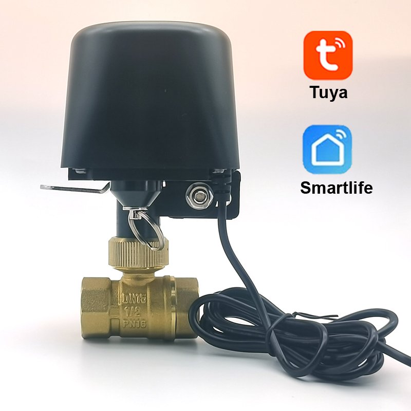 

Умный обратный клапан для воды Tuya DN15 DN20 DN25