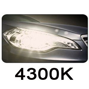 

OVEHEL H7 H4 Led 2400000 LM 1600 Вт CANBUS Light для автомобиля H1 H11 HB3 9005 6000K HB4 9006 6000K 4300K 12 В 24 В Лампа для фар грузовика