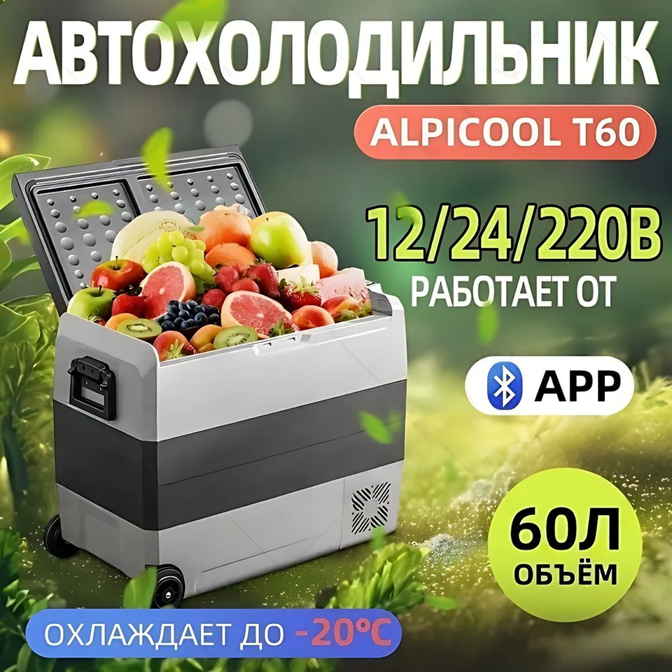 

Автохолодильник Alpicool T60 с внутренним объемов в 60 литров без дополнительной внешней батареи