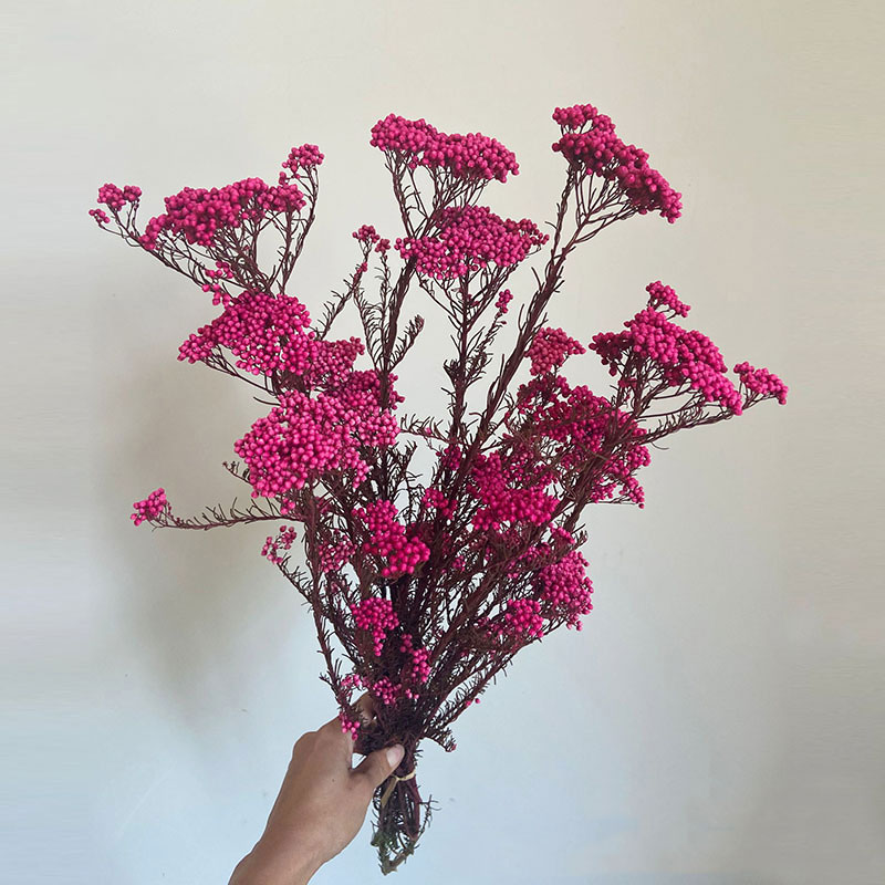 

Сохраненный цветок из проса