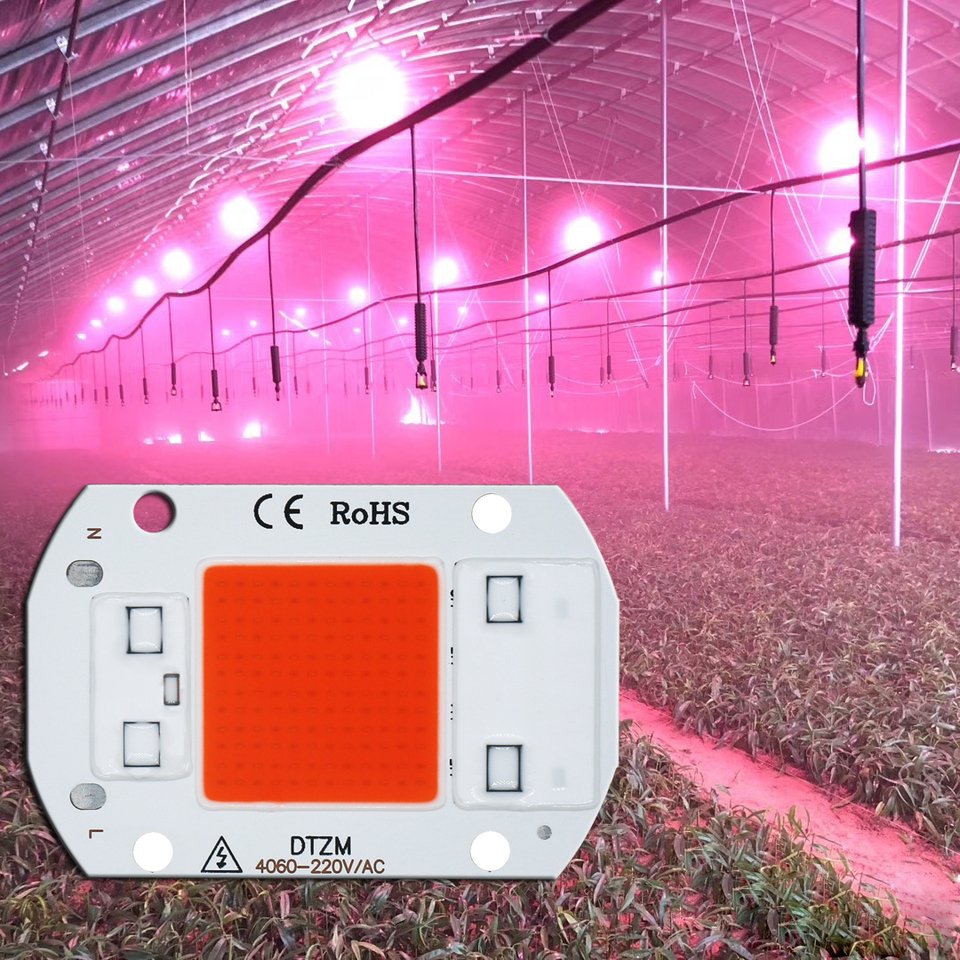 

Светодиодный чип для выращивания COB, полный спектр AC220V 5W10W 20W 30W 50W Не требуется драйвер для роста цветов, рассады, освещения растений