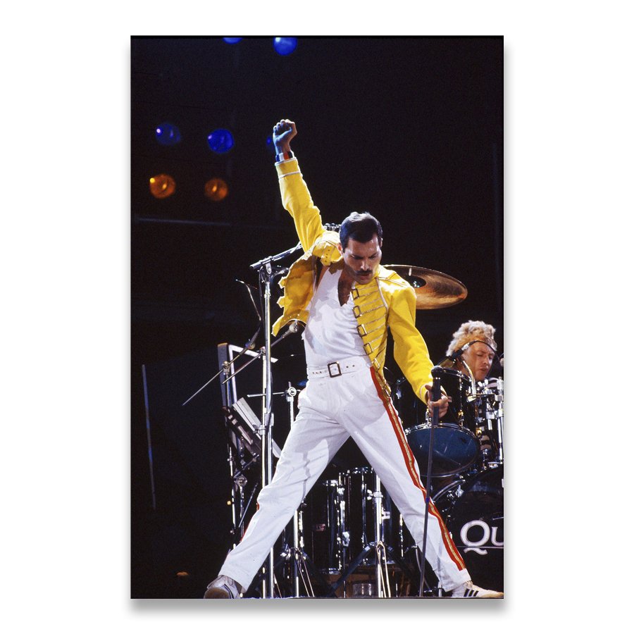 

Плакат Freddie Mercury Bohemian Rock Music AliPaint