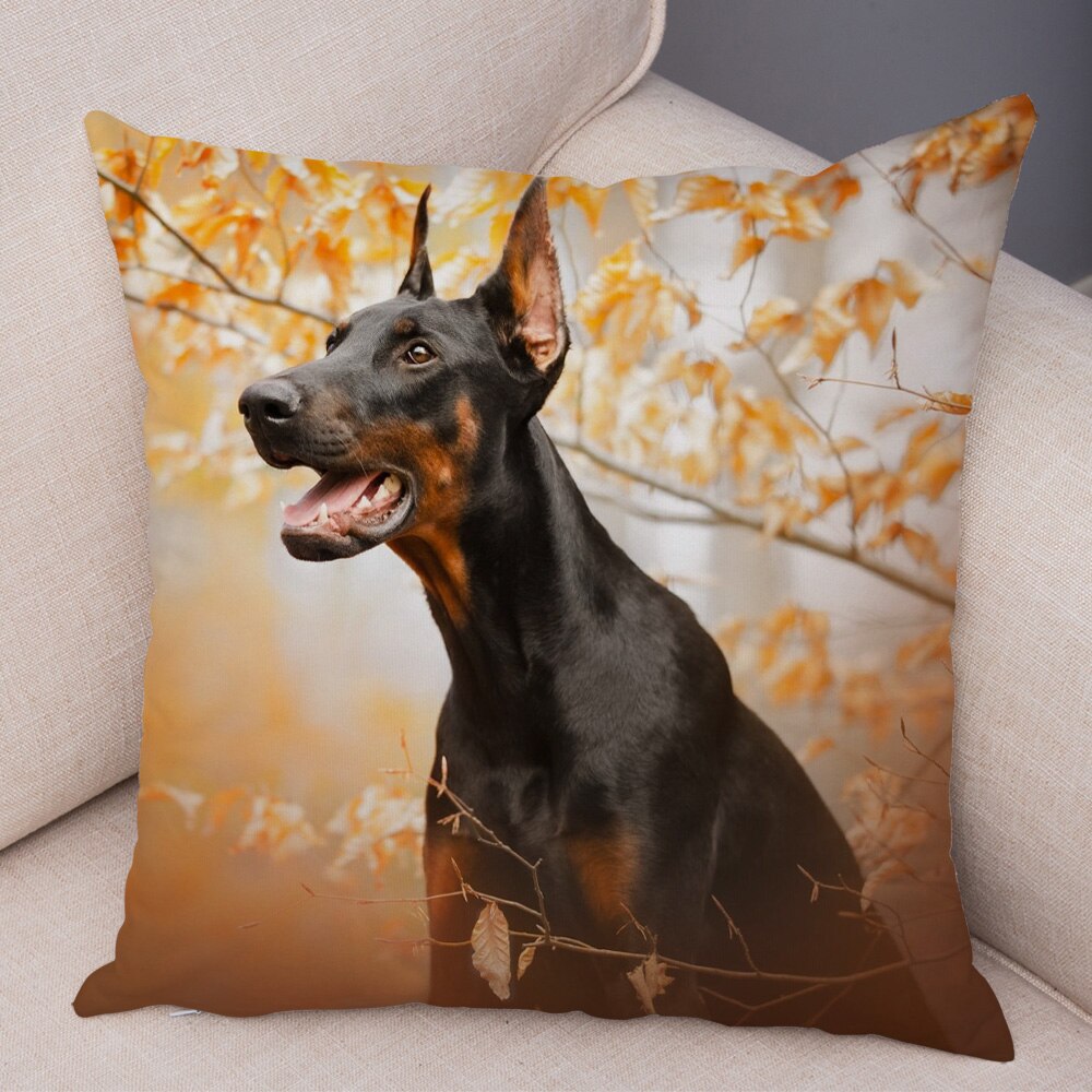 

Чехол для подушки Doberman Pinscher BANXIAO