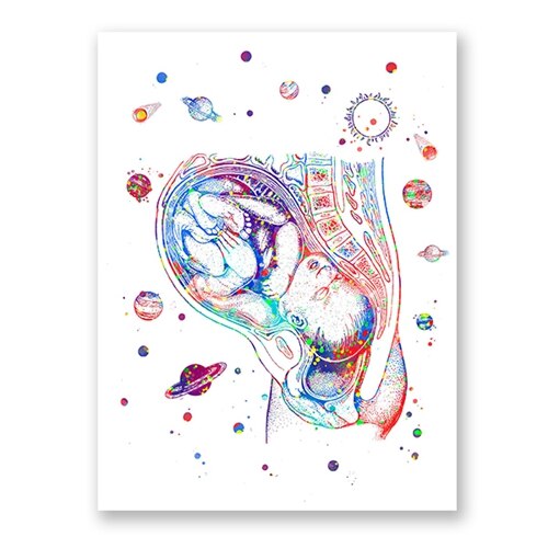 

Анатомические постеры Pregnancy Womb Watercolor Yoolife