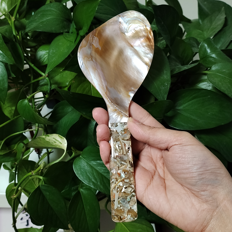 

Ложка для риса из ракушки