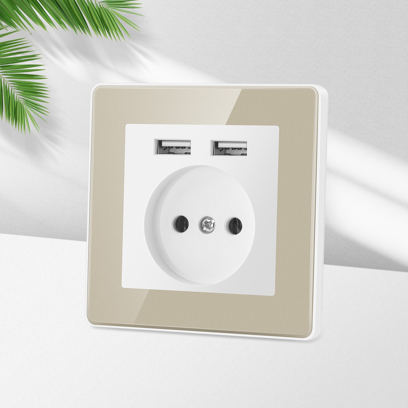 

Настенная розетка с двумя USB-портами
