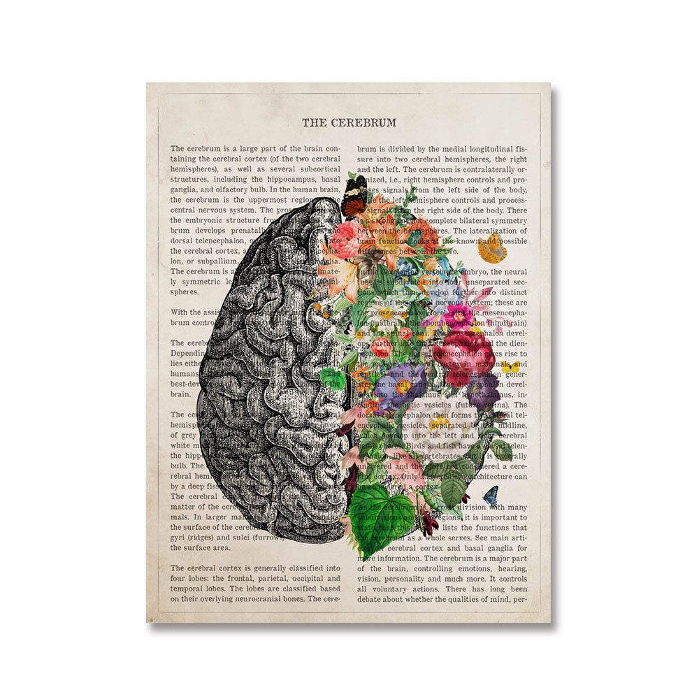 

Печать на холсте "Цветок анатомии мозга" MINISO Style Watercolor