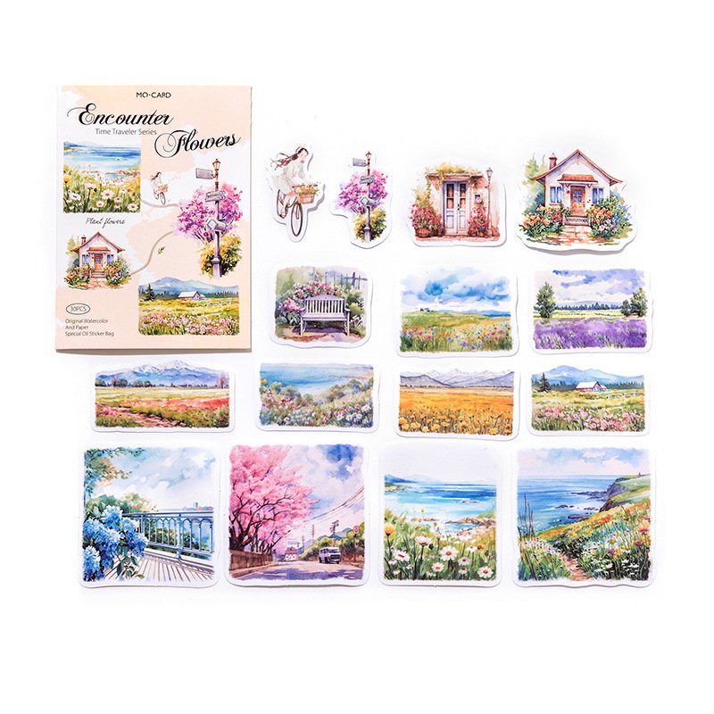 

Декоративные наклейки для скрапбукинга Alideco 30 шт.