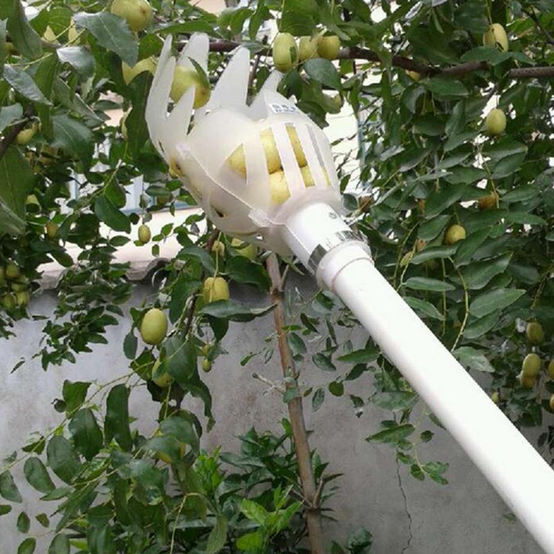 

Фруктосборщик Garden Greenhouses Tools YZ20