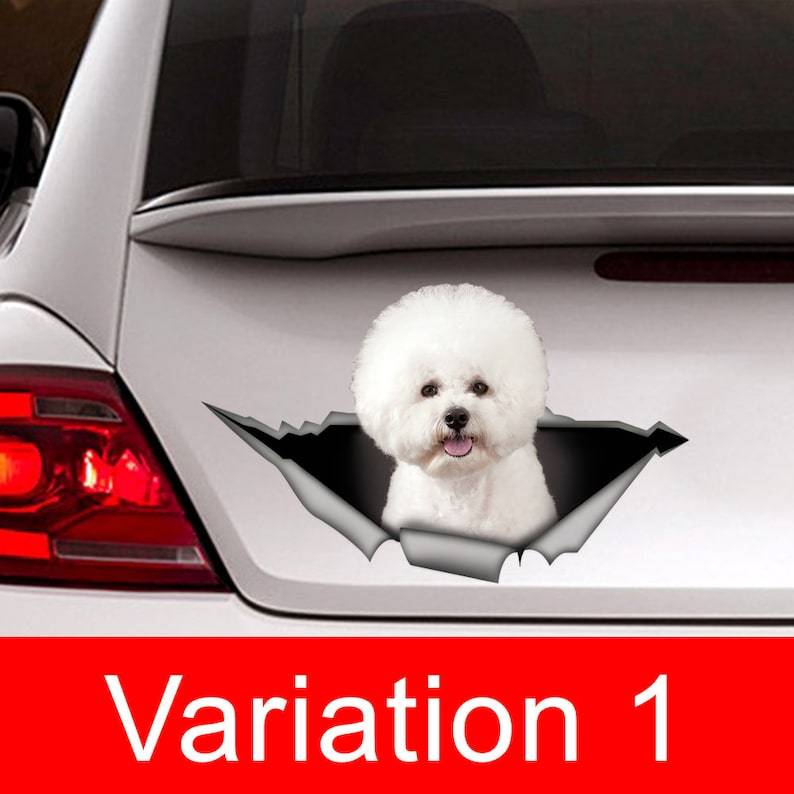 

Bichon frise Автомобильная наклейка, бишон фризе наклейка, наклейка о животных, наклейка с собакой, автомобильная наклейка, забавная наклейка, наклейка для ноутбука