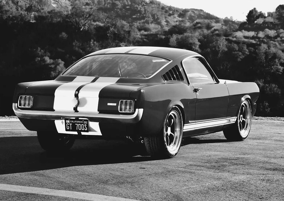 

Фотоплакат Ford Mustang на холсте