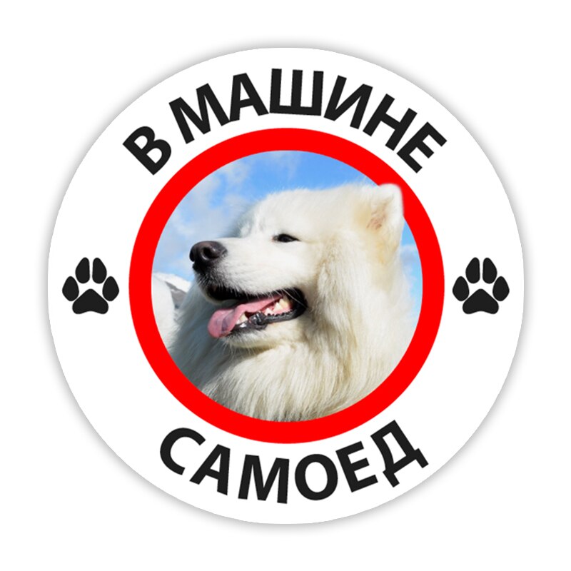 

B0247 Печатный самоклеющийся наклейки на авто В машине самоед водонепроницаемые наклейки на машину стикер этикеты наклейки стайлинга автомобилей украшения на бампере автомобиля заднее стекло