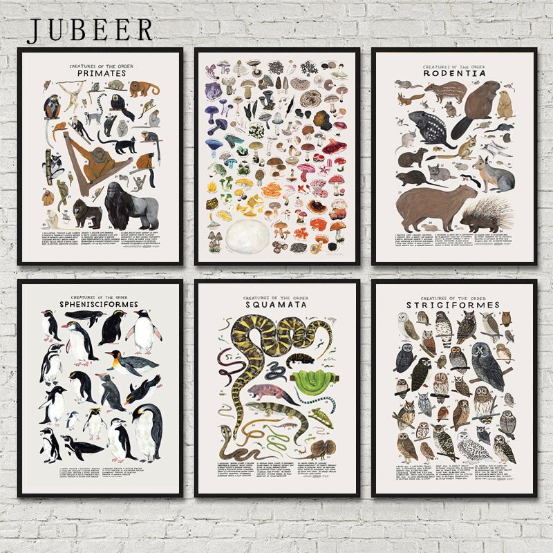 

Ретро постер «Классификация животных» JUBEER
