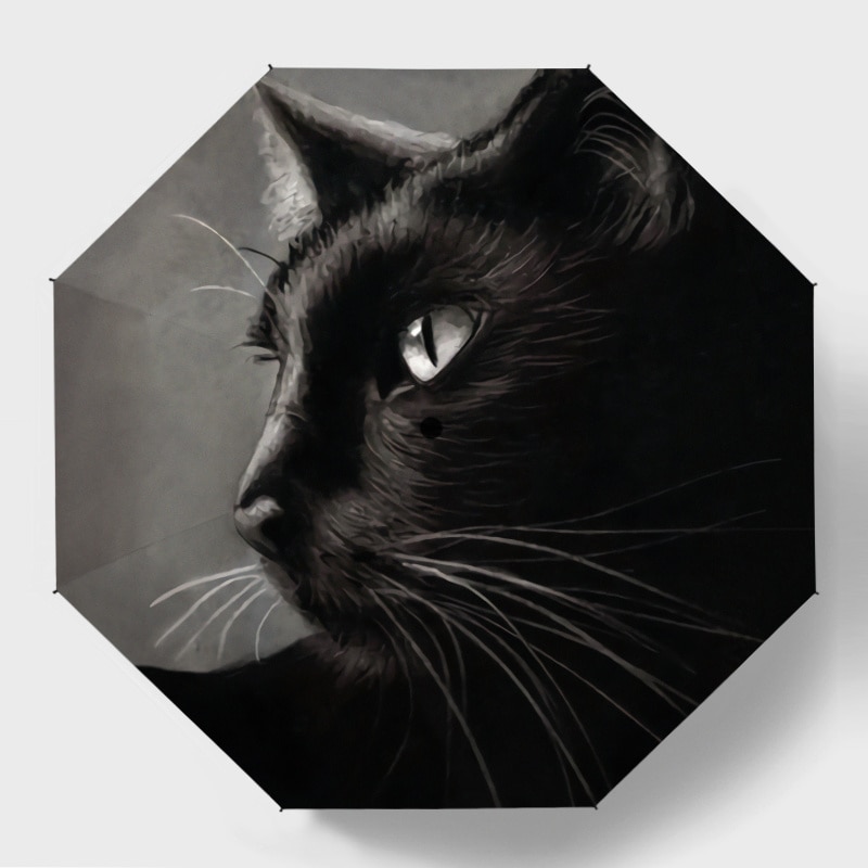

Мужской автоматический зонт Black Cat