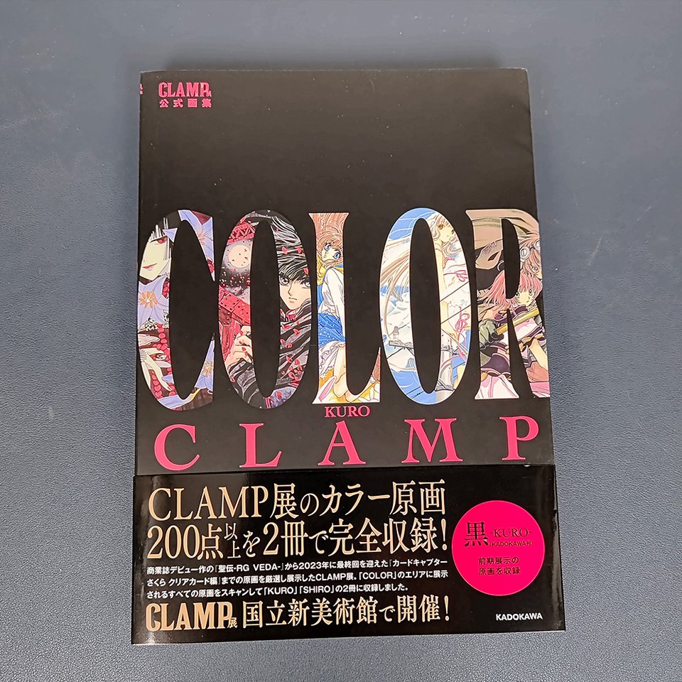 

Художественный альбом CLAMP COLOR KURO или COLOR SHIRO