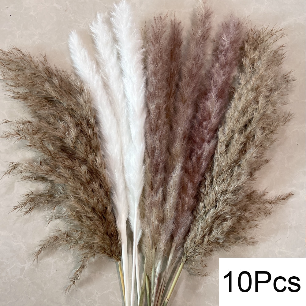 

Сухие цветы ротанга pampas grass 30 штук