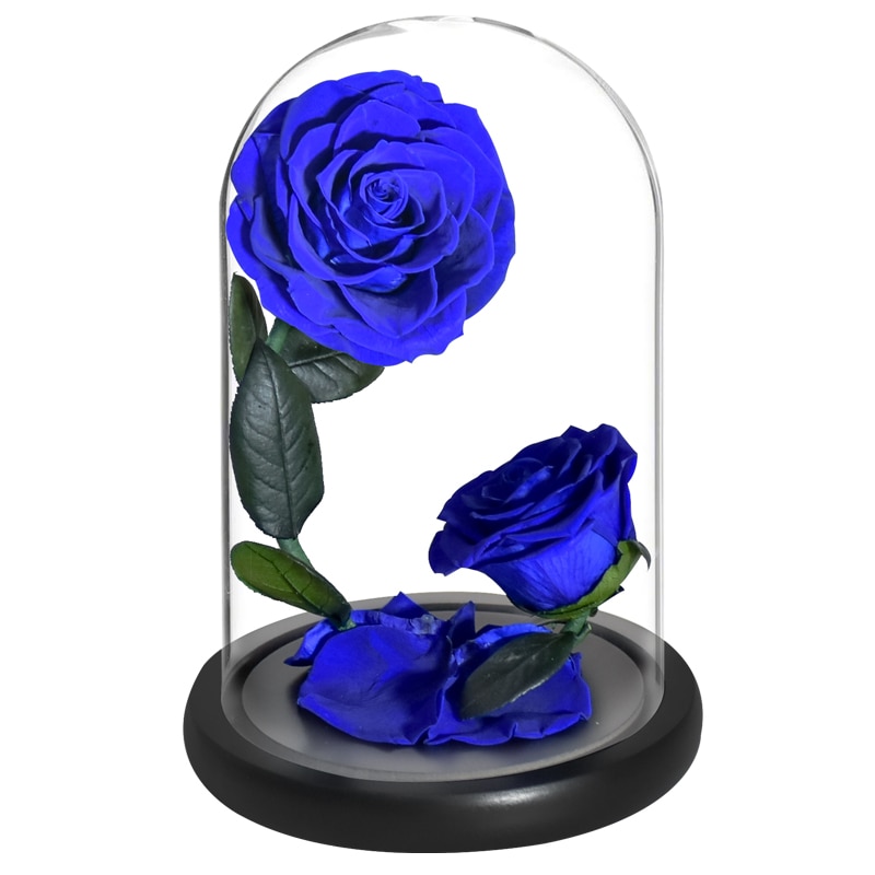 

AINYROSE Консервированные розы в стеклянном куполе