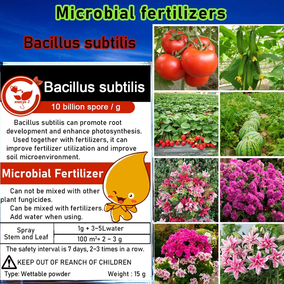 

Биологические удобрения Bacillus Subtilis 15г