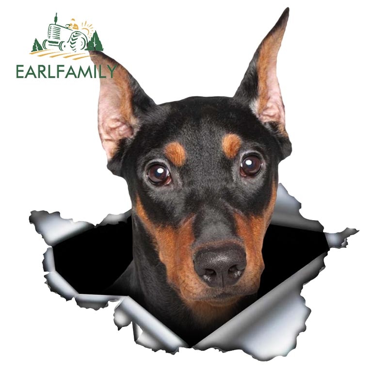 

Миниатюрная Автомобильная наклейка EARLFAMILY Pinscher, 3D рваная металлическая виниловая наклейка оригинального дизайна на заднее ветровое стекло, багажник, пользовательская наклейка, графика для собак