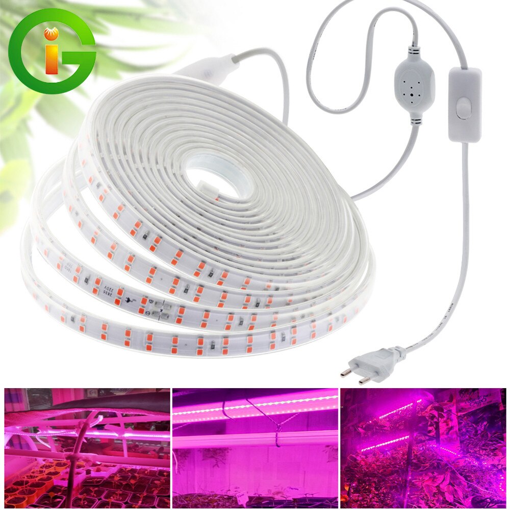 

TRANYTON LED Фитолампа для растений 220В