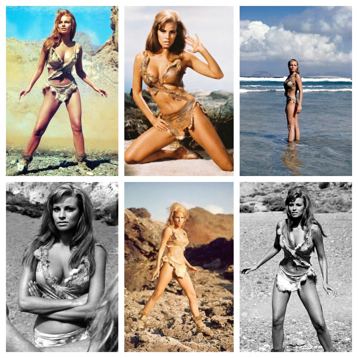 

Шелковый плакат RAQUEL WELCH