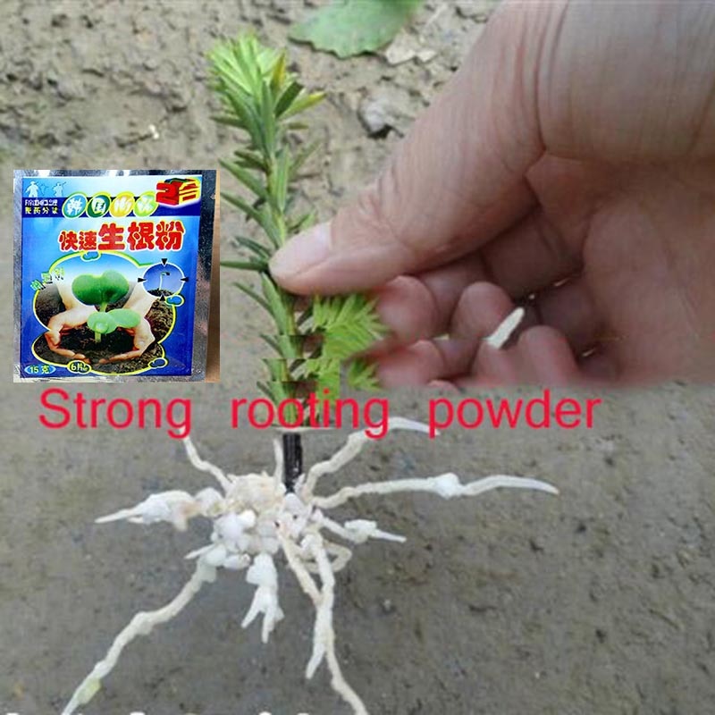 

Порошок для укоренения 2шт