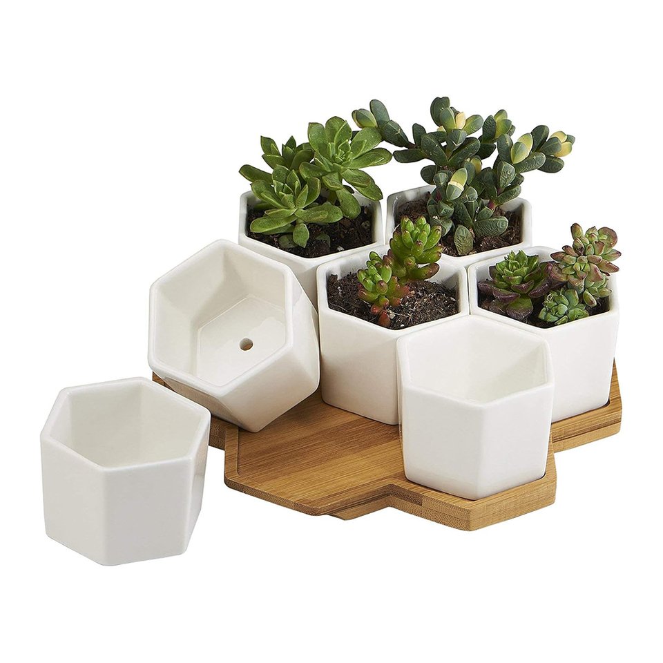 

Керамические горшки для суккулентов Homelike Decor, 7 шт