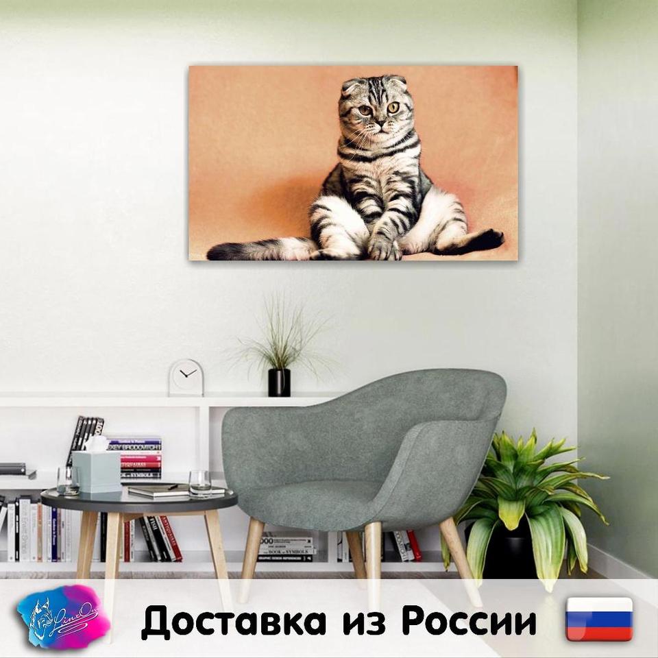 

LinxOne картина "Шотландская вислоухая кошка, кот, сидит, прикольный, забавно" на холсте / декор для дома / интерьер / подарок