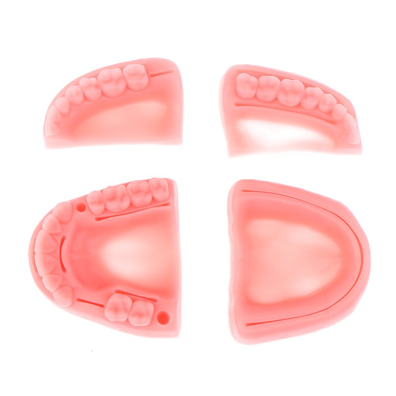 

Набор из 2/4 шт., силиконовые модули для обучения стоматологии SD&HI Oral/Gum suture training module